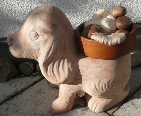Foto zur optischen Verschoenerung